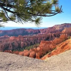 Bryce Canyon and all it's glory with blue skies and sandstone galore.