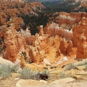 Looking down from above the canyon rim.
